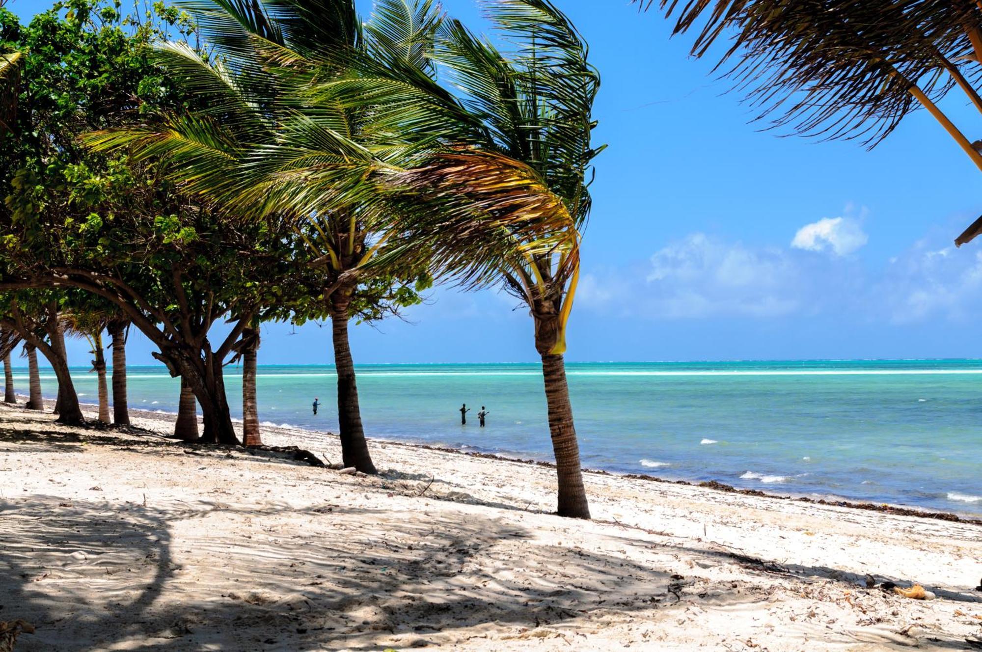 Twiga Beach Resort Watamu Exteriör bild