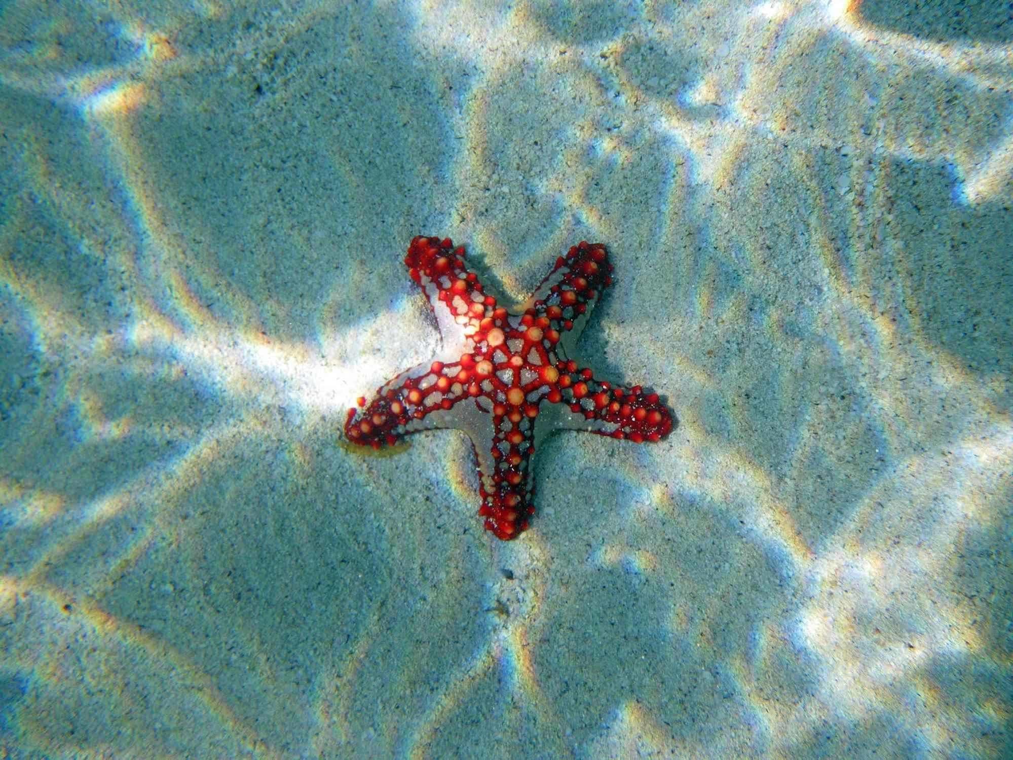 Twiga Beach Resort Watamu Exteriör bild